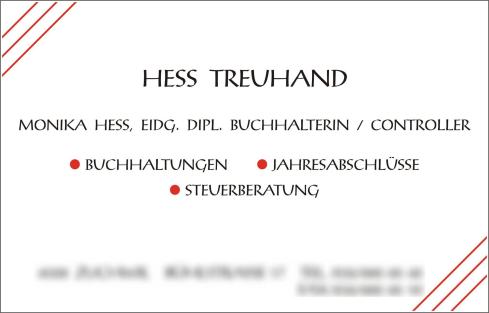 _vis_hesstreuhand