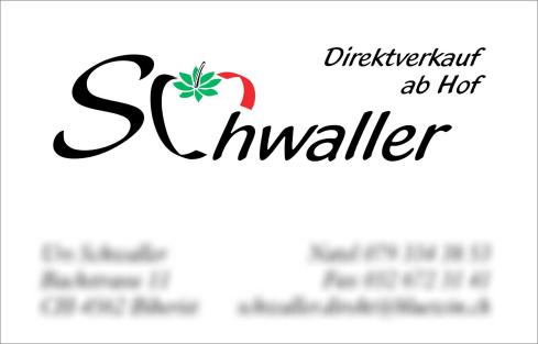 _Vis_Schwaller